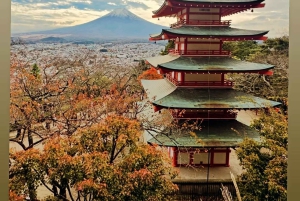 Passeio privado personalizado de um dia ao Monte Fuji com guia em inglês