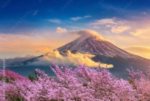 Passeio privado personalizado de um dia ao Monte Fuji com guia em inglês