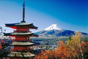 Passeio privado personalizado de um dia ao Monte Fuji com guia em inglês