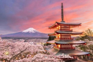 Passeio privado personalizado de um dia ao Monte Fuji com guia em inglês