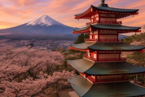 Passeio privado personalizado de um dia ao Monte Fuji com guia em inglês
