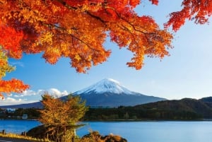 Spersonalizowana prywatna wycieczka na górę Fuji
