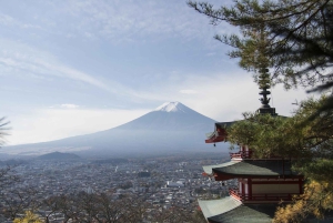 富士山のプライベートカスタマイズツアー