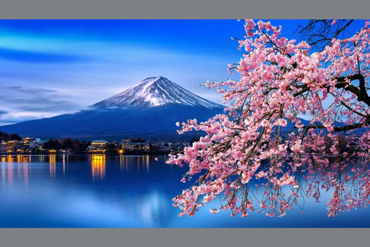 Tokyo: Fuji-fjellet og Hakone kirsebærblomstrende privat omvisning