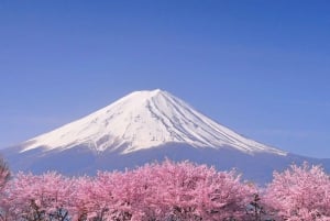 Токио: частная однодневная экскурсия на гору Фудзи и цветение сакуры в Хаконэ