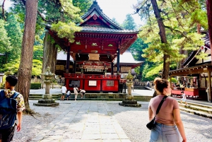 Токио: частная однодневная экскурсия на гору Фудзи и цветение сакуры в Хаконэ