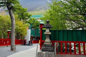 Токио: частная однодневная экскурсия на гору Фудзи и цветение сакуры в Хаконэ