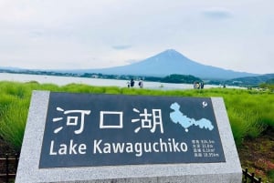 Токио: частная однодневная экскурсия на гору Фудзи и цветение сакуры в Хаконэ