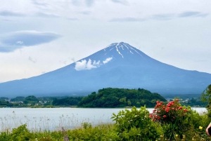 Токио: частная однодневная экскурсия на гору Фудзи и цветение сакуры в Хаконэ