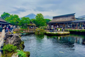 Токио: частная однодневная экскурсия на гору Фудзи и цветение сакуры в Хаконэ