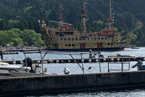 Токио: частная однодневная экскурсия на гору Фудзи и цветение сакуры в Хаконэ