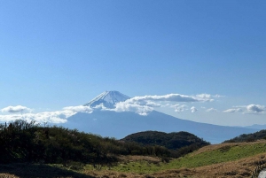 Токио: частная однодневная экскурсия на гору Фудзи и цветение сакуры в Хаконэ