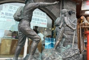 Токио: частная однодневная экскурсия на гору Фудзи и цветение сакуры в Хаконэ