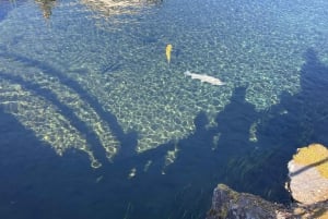 Токио: частная однодневная экскурсия на гору Фудзи и цветение сакуры в Хаконэ