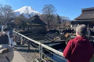 Токио: частная однодневная экскурсия на гору Фудзи и цветение сакуры в Хаконэ