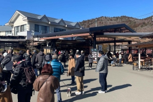 Токио: частная однодневная экскурсия на гору Фудзи и цветение сакуры в Хаконэ