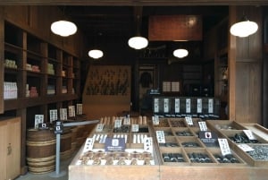 Tour Privado do Museu de Arquitetura ao Ar Livre Edo-Tóquio