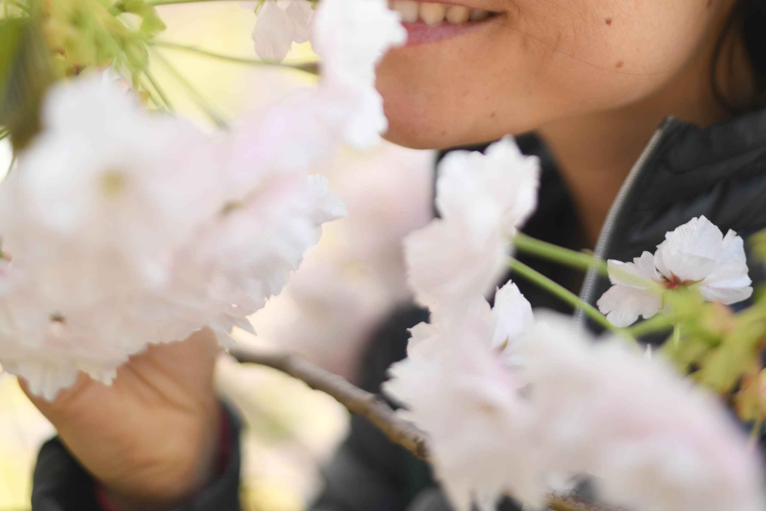 Private French-Speaking Guide in Tokyo With Photography Service