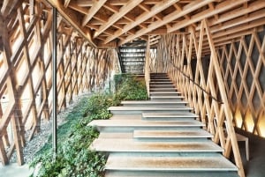 Privat arkitekturtur i Harajuku Omotesando