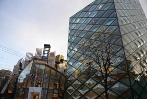 Privat arkitekturtur i Harajuku Omotesando