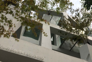 Privat arkitekturtur i Harajuku Omotesando