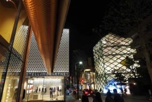 Privat arkitekturtur i Harajuku Omotesando