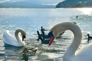 Depuis Tokyo : visite privative d'une journée complète du mont Fuji avec guide