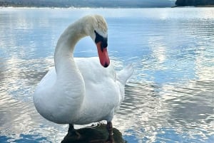 Depuis Tokyo : visite privative d'une journée complète du mont Fuji avec guide