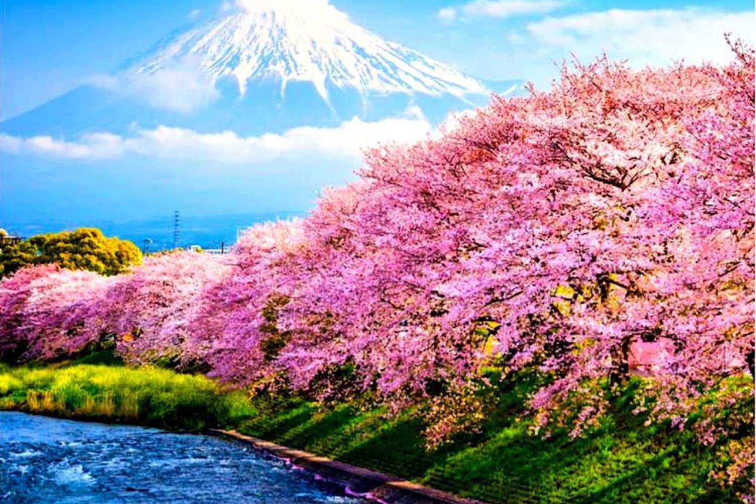 Private Mount Fuji sightseeing Day trip with English Guide