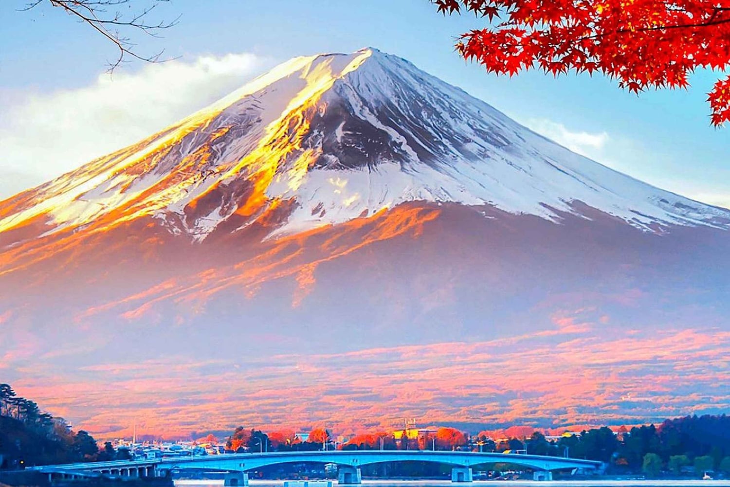 Private Mount Fuji sightseeing Day trip with English Guide