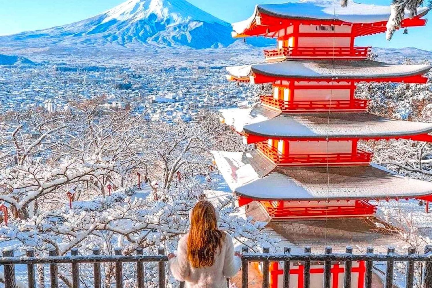 Private Mount Fuji sightseeing Day trip with English Guide