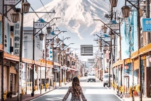 Privat Fuji-sightseeing dagstur med engelsk guide