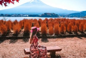 Privat Fuji-sightseeing dagstur med engelsk guide