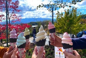 Privat Fuji-sightseeing dagstur med engelsk guide