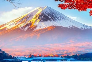 Private Mount Fuji sightseeing Day trip with English Guide