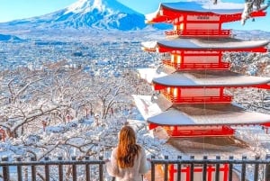 Private Mount Fuji sightseeing Day trip with English Guide