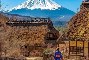 Private Mount Fuji sightseeing Day trip with English Guide