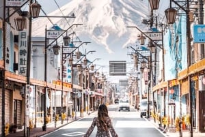 Private Mount Fuji sightseeing Day trip with English Guide