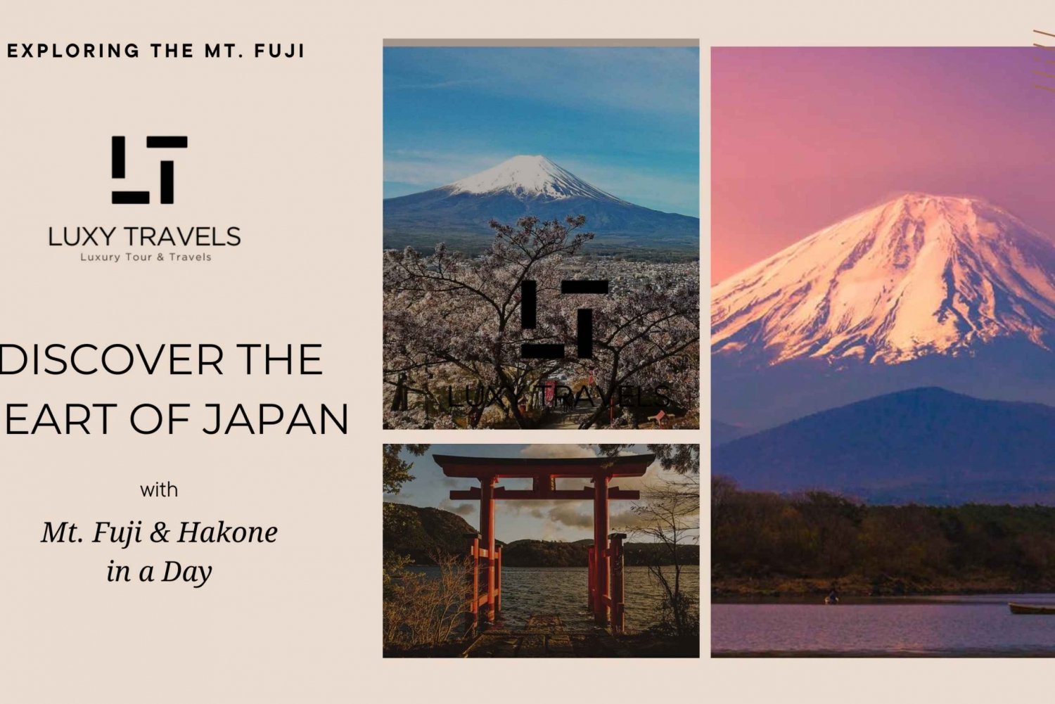 Visita turística privada al Monte Fuji con guía de habla inglesa