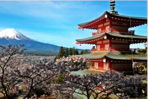 Fuji-vuoren nähtävyyksiä – yksityinen kierros englanninkielisen oppaan kanssa