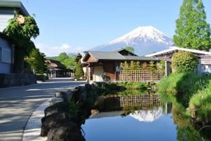 Fuji-vuoren nähtävyyksiä – yksityinen kierros englanninkielisen oppaan kanssa