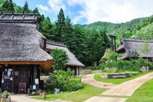 Fuji-vuoren nähtävyyksiä – yksityinen kierros englanninkielisen oppaan kanssa