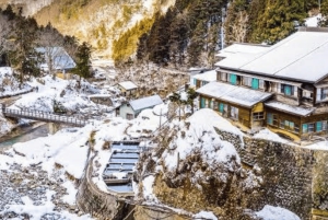 Privat dagsudflugt til Nagano: Sneaber og historiske templer