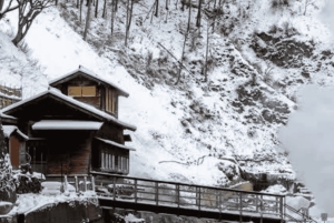 Privat dagsudflugt til Nagano: Sneaber og historiske templer