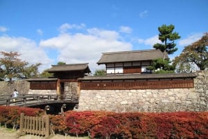 Privat dagsudflugt til Nagano: Sneaber og historiske templer