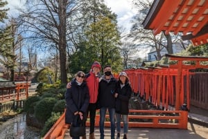 Yksityinen opastettu kiertokäynti Tokiossa oppaan ja ajoneuvon kanssa