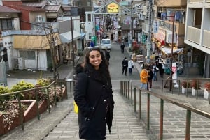 Yksityinen opastettu kiertokäynti Tokiossa oppaan ja ajoneuvon kanssa