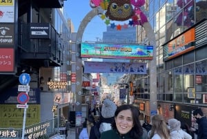 Yksityinen opastettu kiertokäynti Tokiossa oppaan ja ajoneuvon kanssa