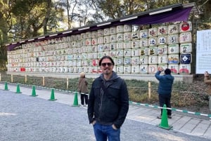 Yksityinen opastettu kiertokäynti Tokiossa oppaan ja ajoneuvon kanssa