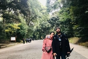 Yksityinen opastettu kiertokäynti Tokiossa oppaan ja ajoneuvon kanssa